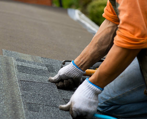 Gutter Installation and Roofing in Loma, CO